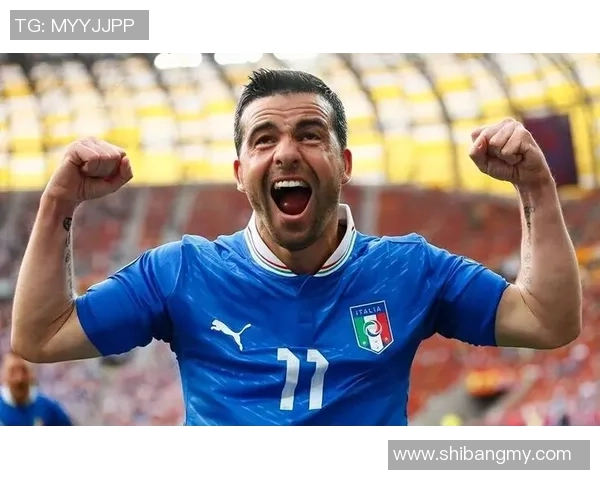 意大利外籍足球明星汇总及其在国际赛场上的辉煌成就分析