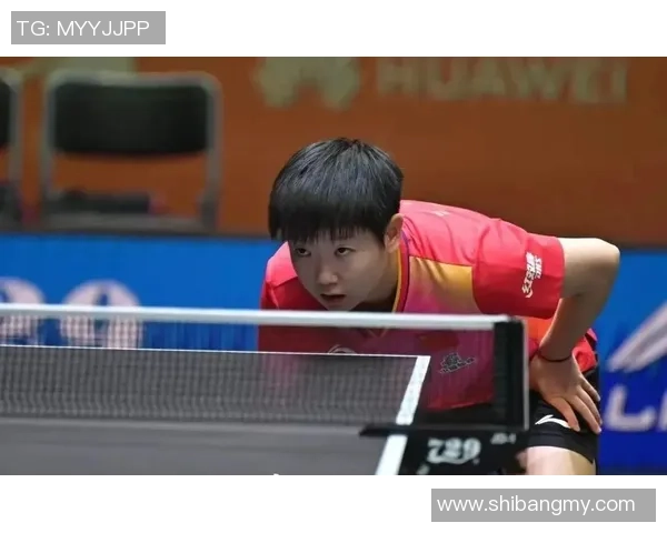 赵强的乒乓球人生深度对话探索他的成长与奋斗历程