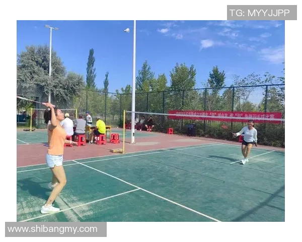 陈娜独家分享羽毛球技巧与心得助你提升球技的全面指南