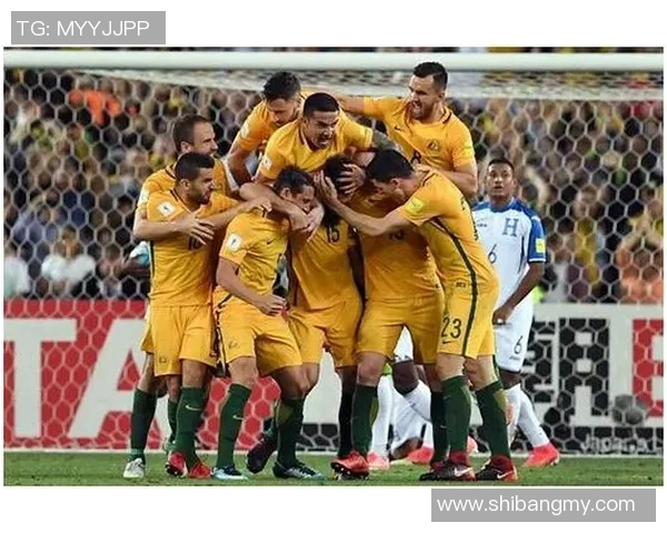 武汉排球队在世界杯中的默契配合与战术分析